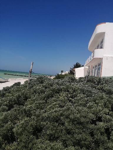 첼렘 Apartamento 4 El Paraiso De Capitan Fernando 아파트 외부 사진